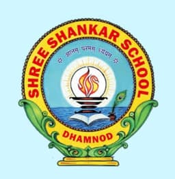 School 11